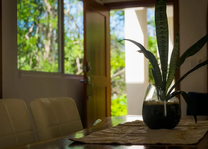 Apartamento Casa Coco De 1 Tamarindo